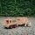 fagus Unimog Set mit Pferdeanhänger und Fohlen